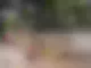 ayme_ross Profilbild des Cam-Modells