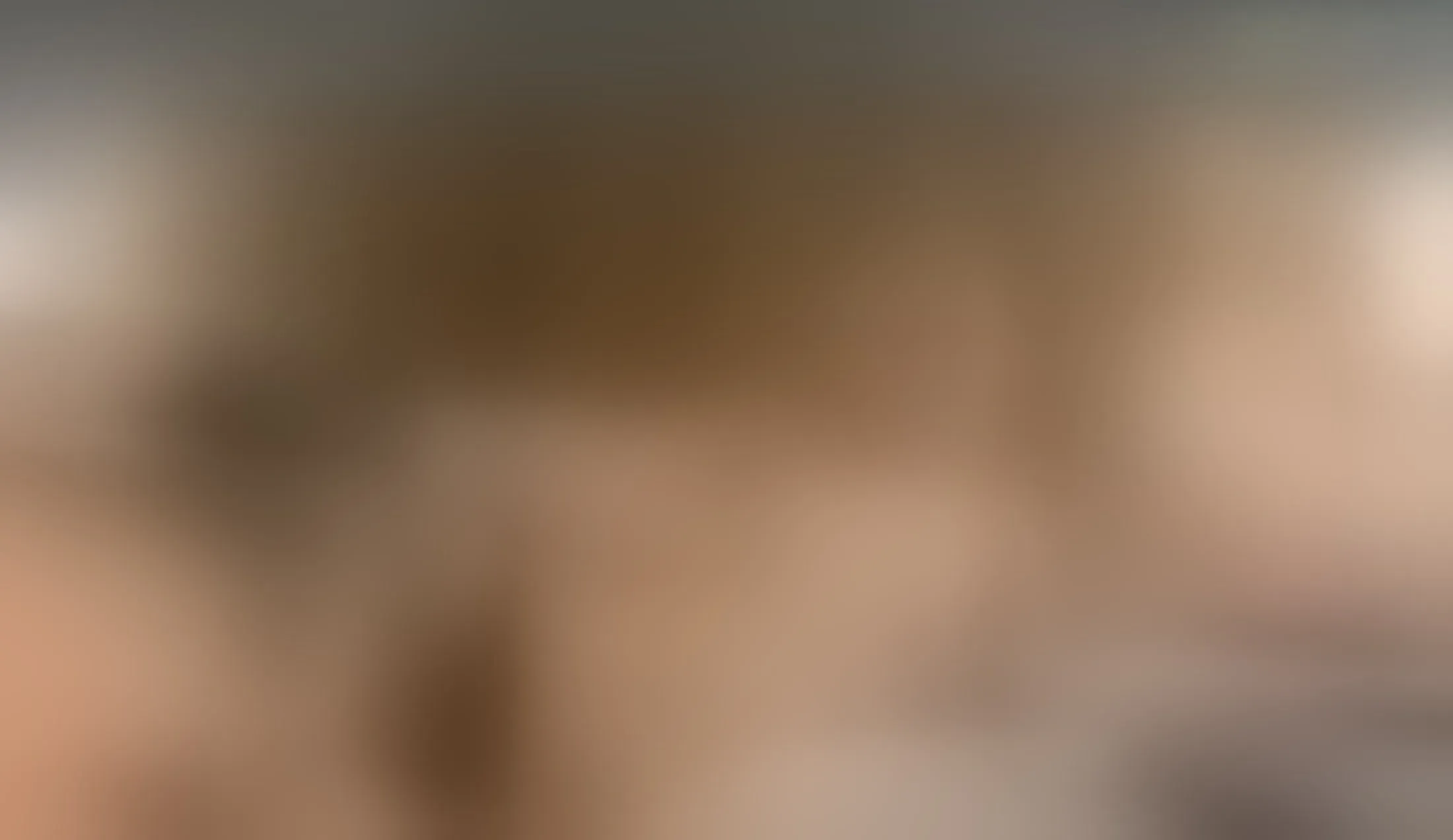 Interprète KittenCat Vidéo 1