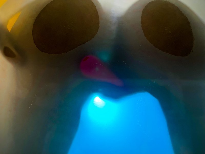 Artiest Alice_Horner Foto 9