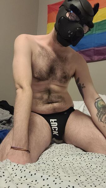 Performer AlphaThumper Photo 12