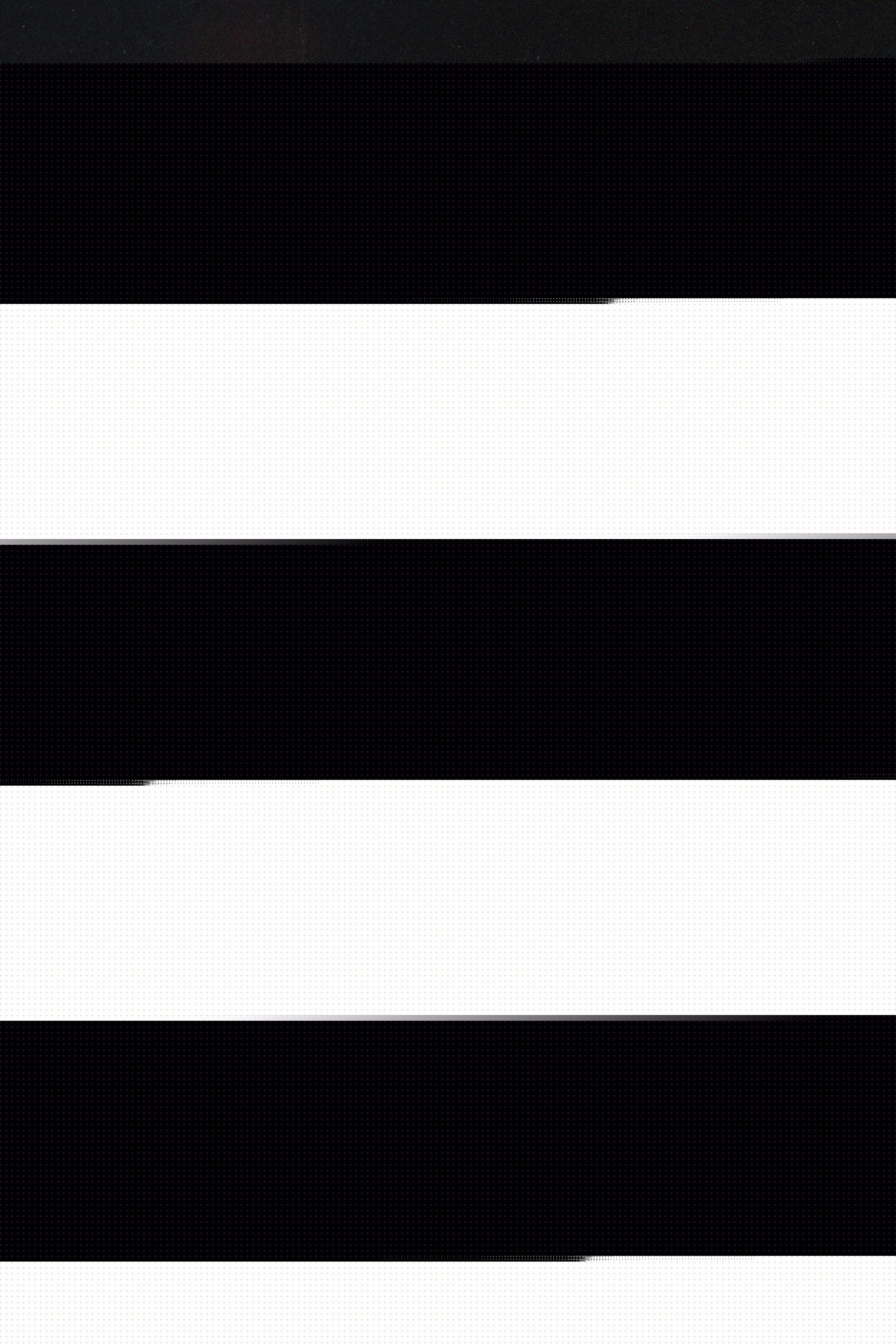 Interprete SophieHoffmann Foto 7