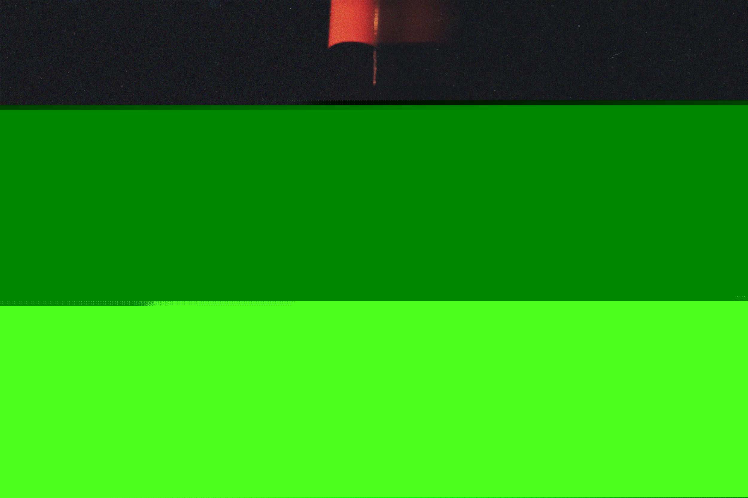 Interprete SophieHoffmann Foto 9