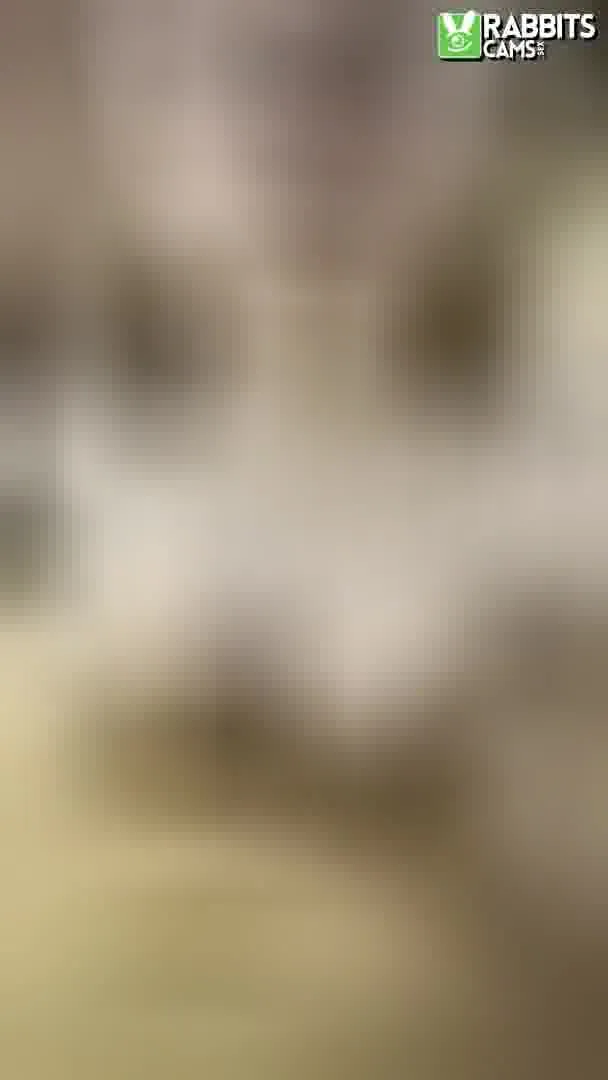 Interprete MaddyAndJasonn Video 1