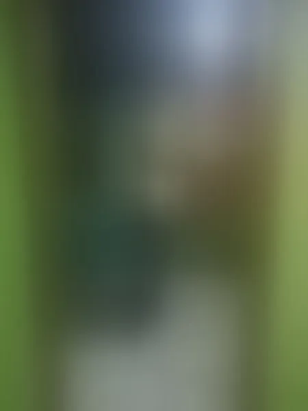 Intérprete ValentinaMorLat Foto 8