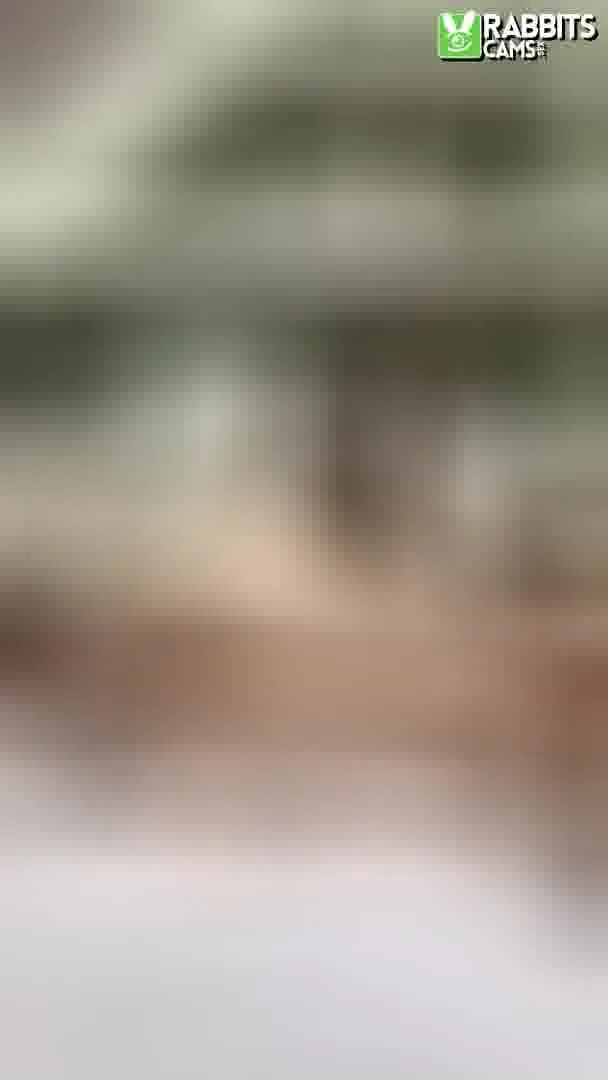Artiest MeghanRosses Video 2