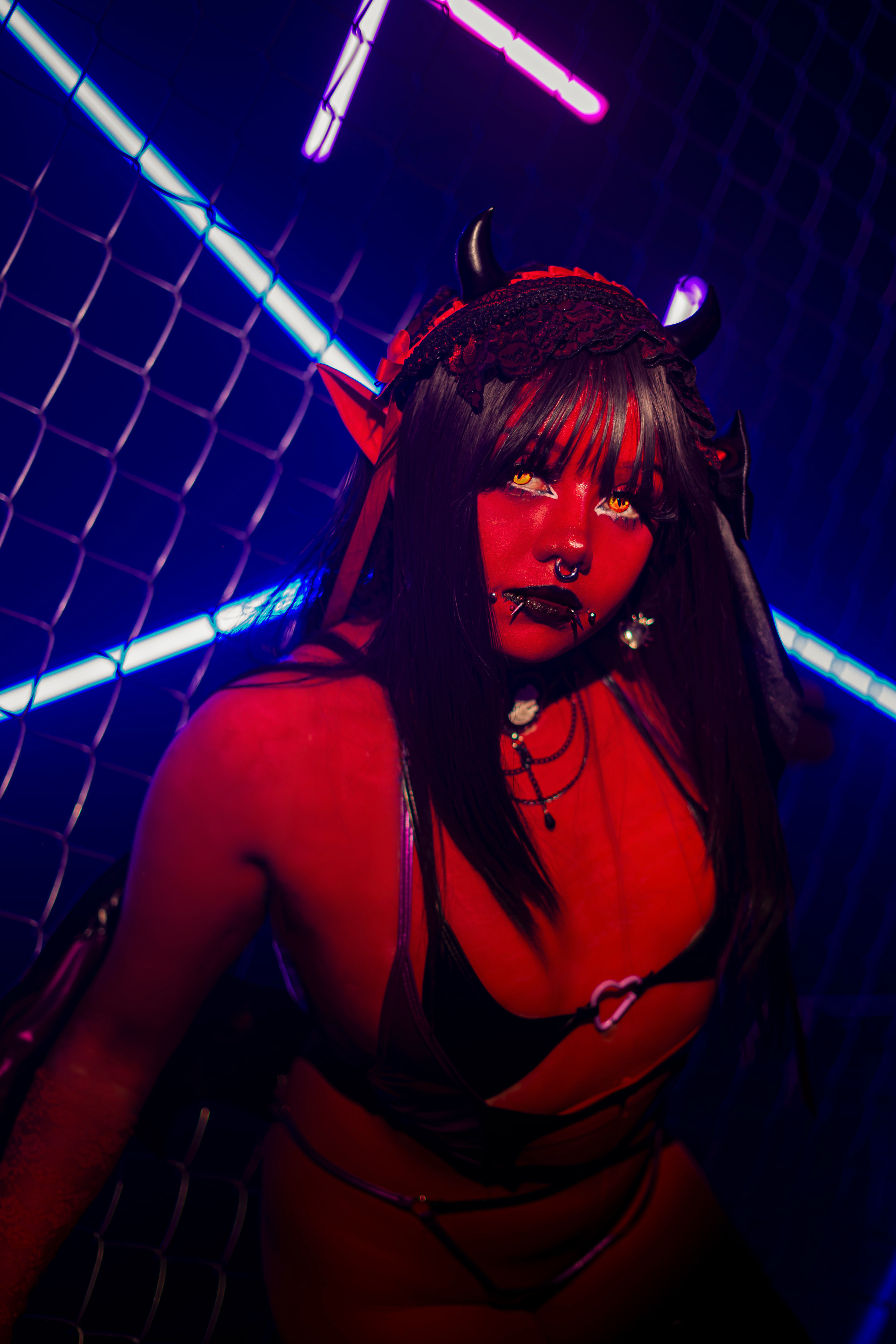 Interprète LaytonBox Photo 6