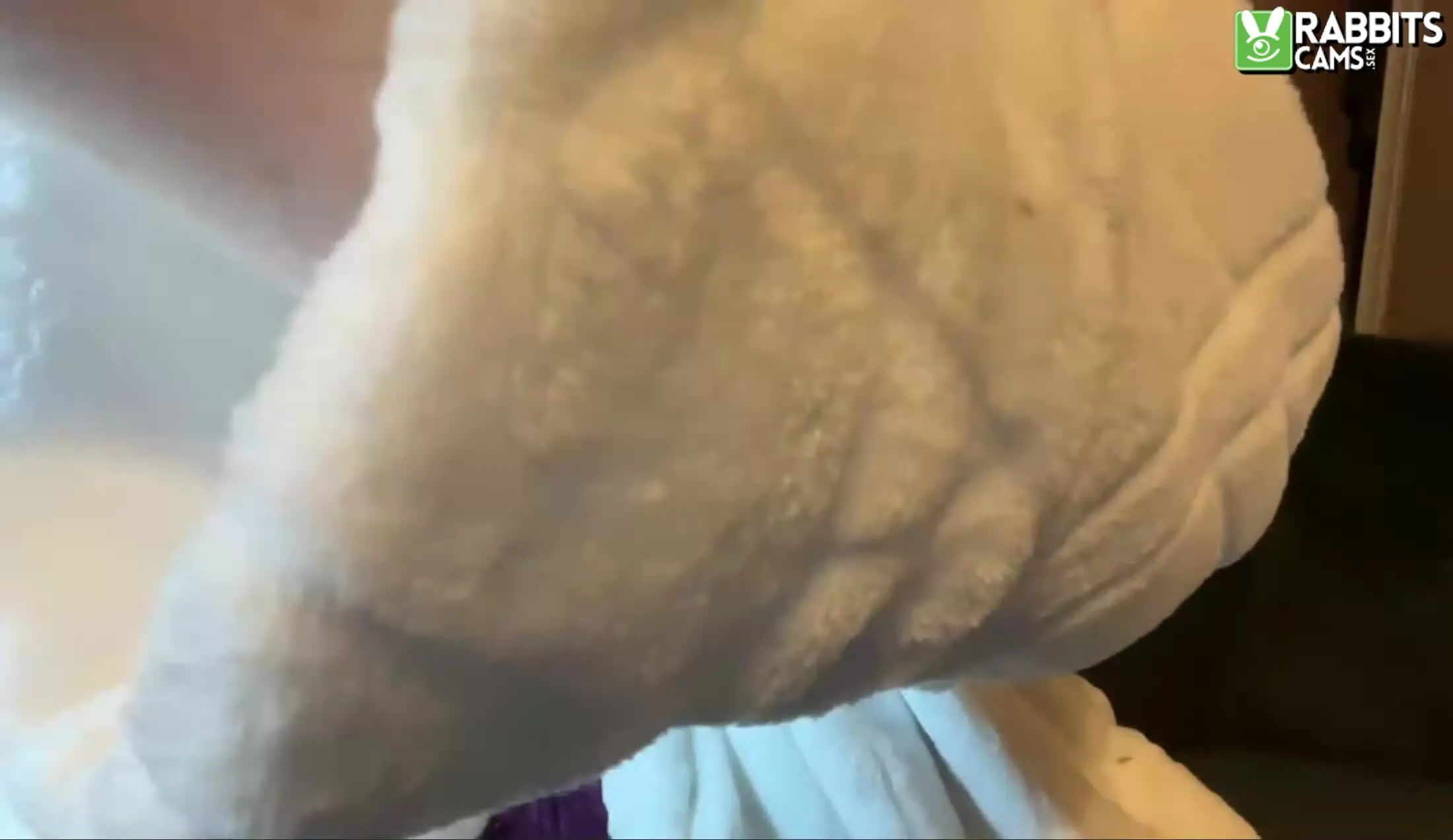 Artista SexySusie_R Video 1