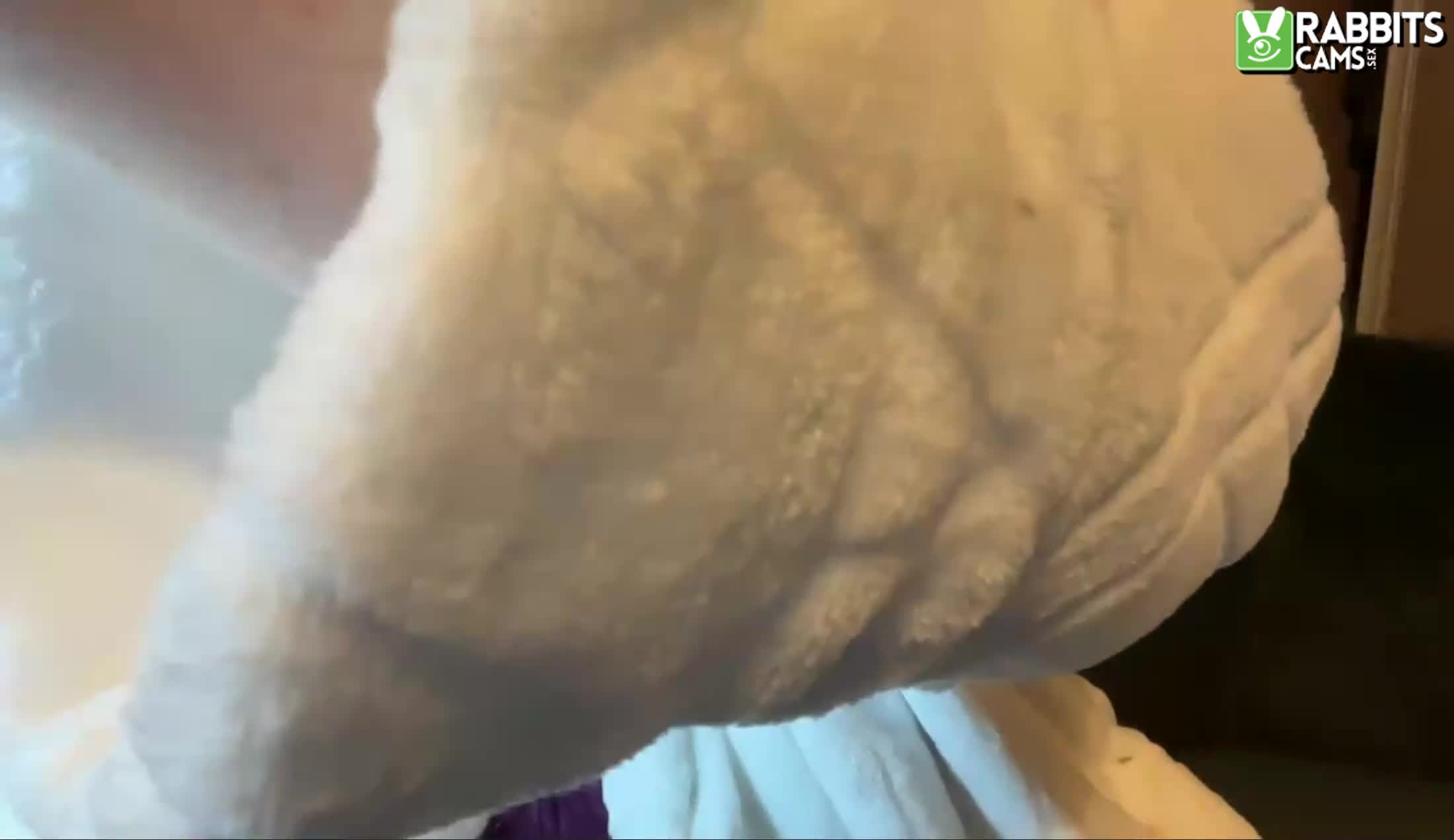 Intérprete SexySusie_R Video 1