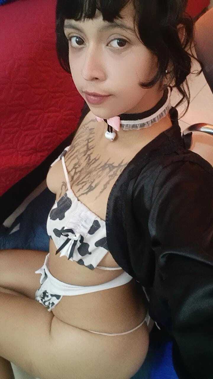 Artista gabriela_cortez Foto 12