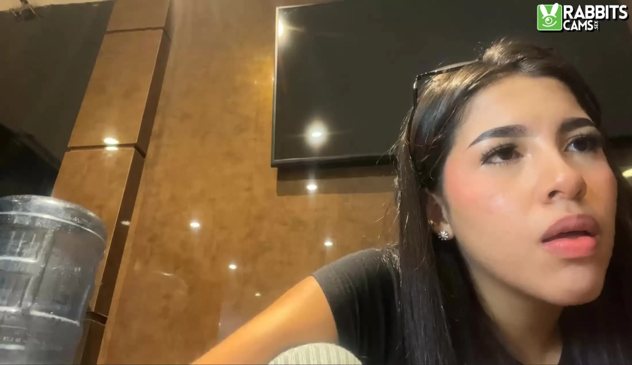 Artista AdaPalacio Video 2