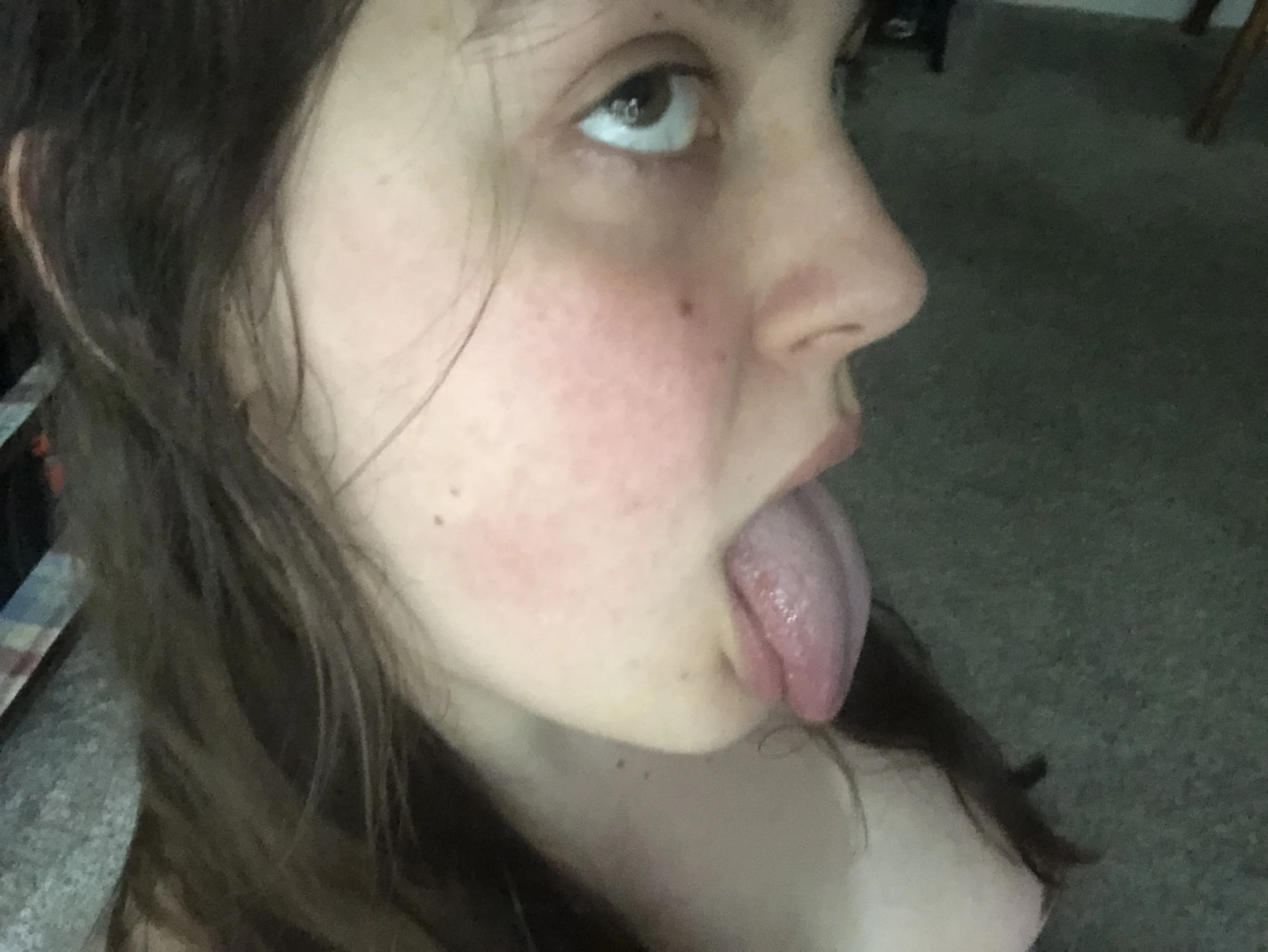 Intérprete Kittycat2004 Foto 5