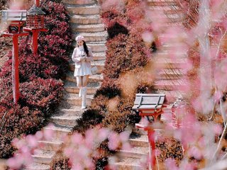 Foto de perfil de modelo de webcam de MiETsuke