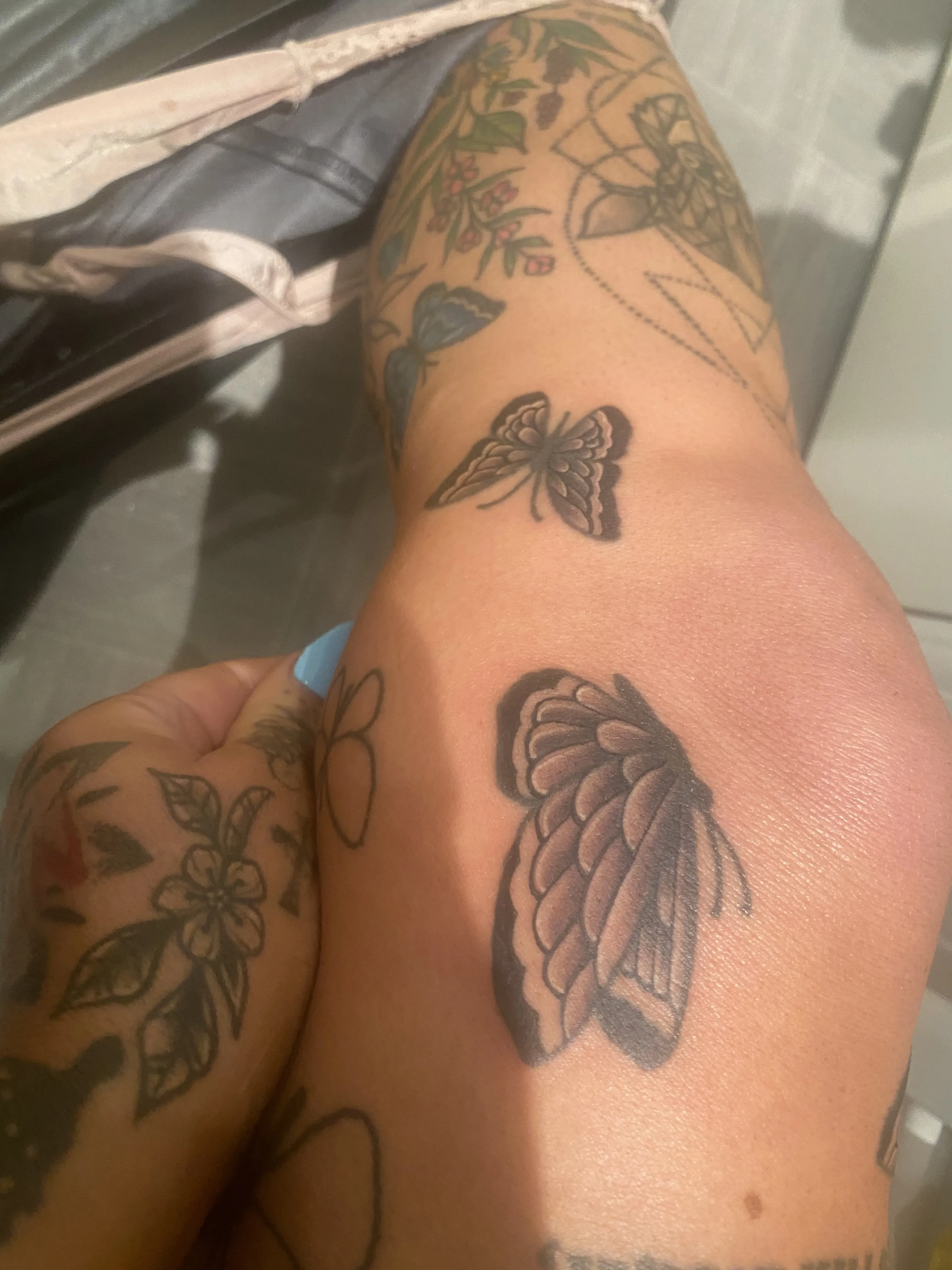 Utøver CandyApplesxXx Bilde 2