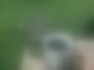 Image de profil du modèle de webcam ciaraconnor