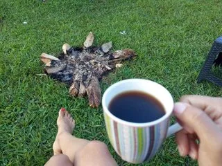 Image de profil du modèle de webcam ciaraconnor