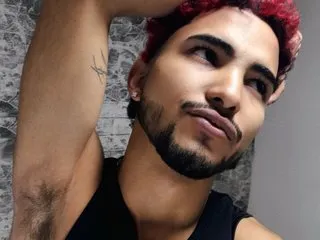 Image de profil du modèle de webcam David_harlow