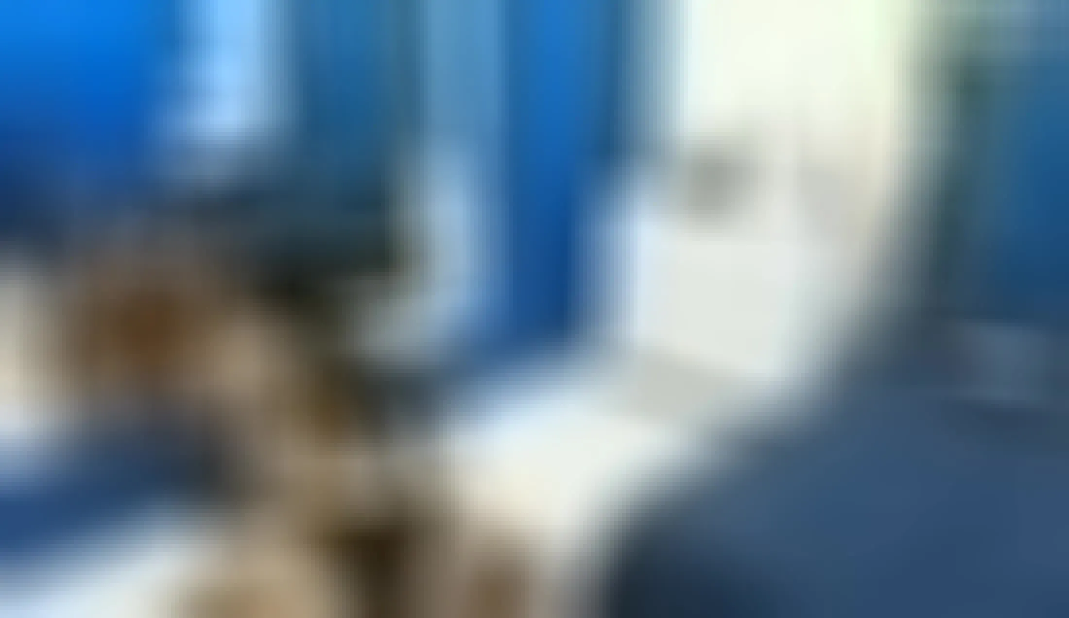 Interprète DakotaFerreti Vidéo 1