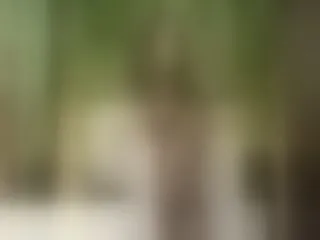 Image de profil du modèle de webcam MiaRise