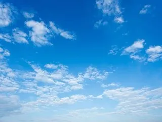 Megann_fox immagine del profilo del modello di cam