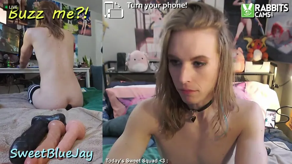 Artist SweetBlueJay Video 1