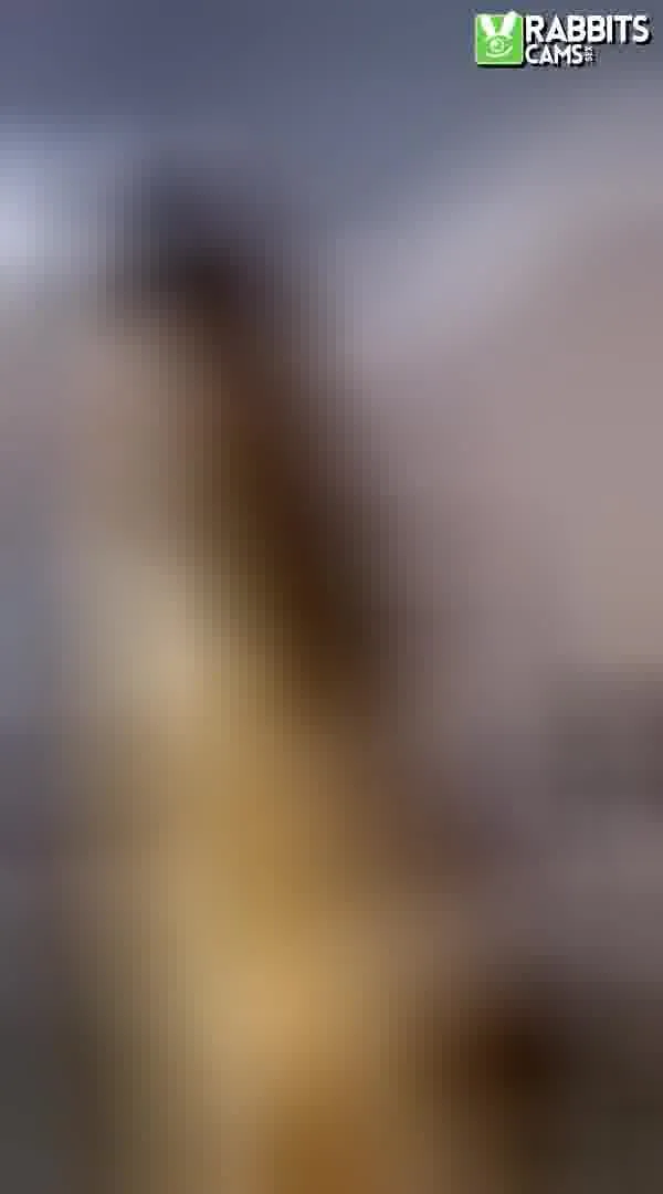 Interprete Charlotte_Mulleer Video 4