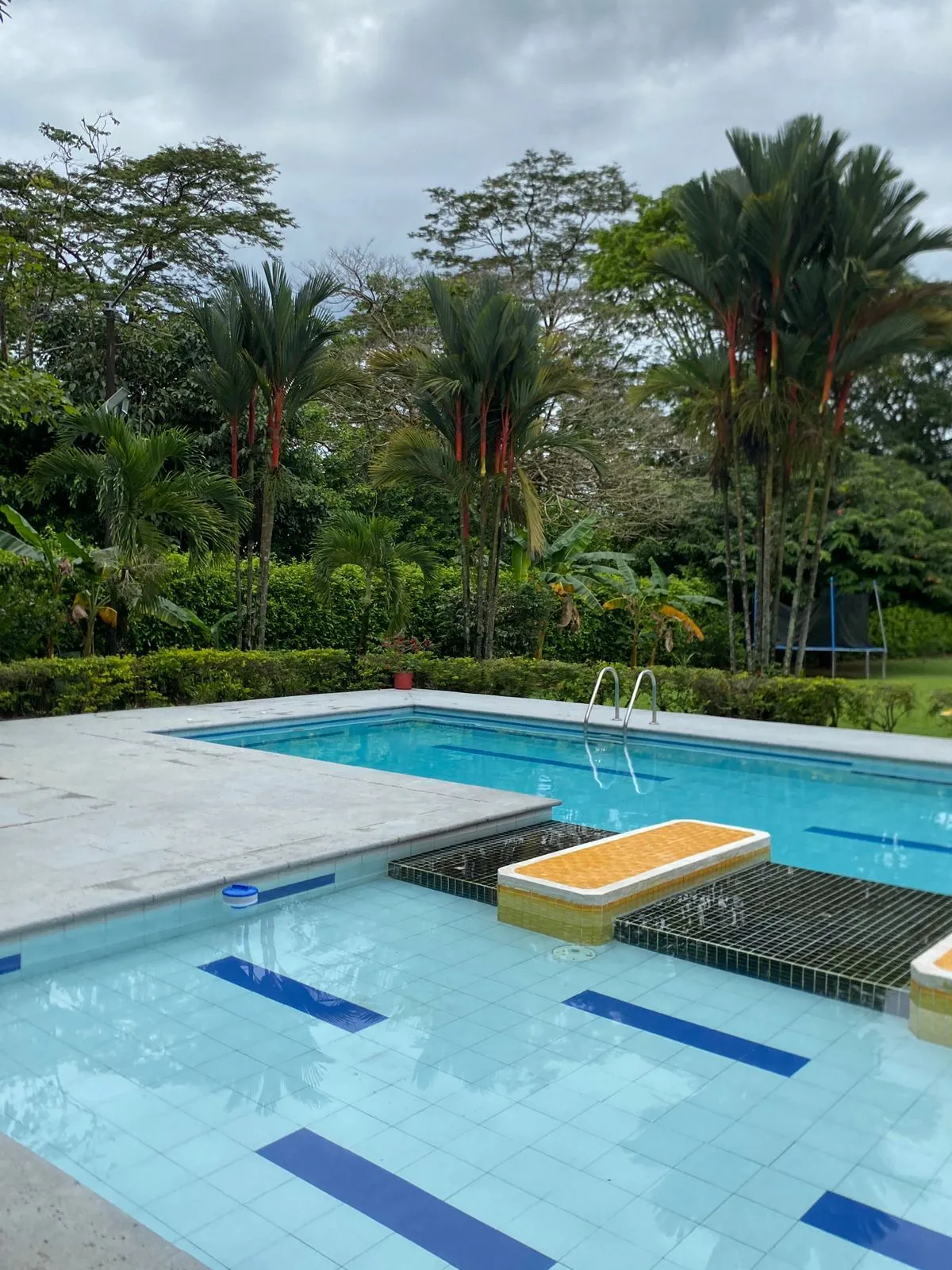 Artista MELODYY_SWEET Foto 12