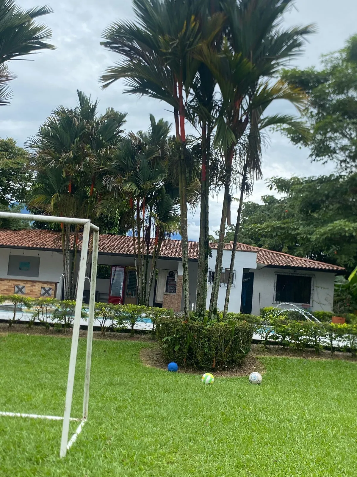 Artista MELODYY_SWEET Foto 10