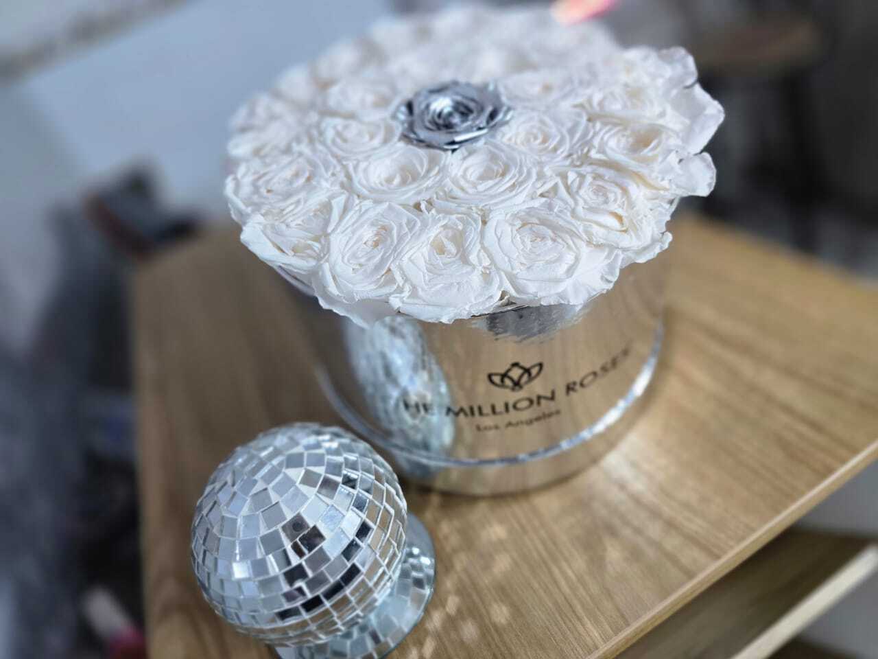 Utøver Zaimoon Bilde 11