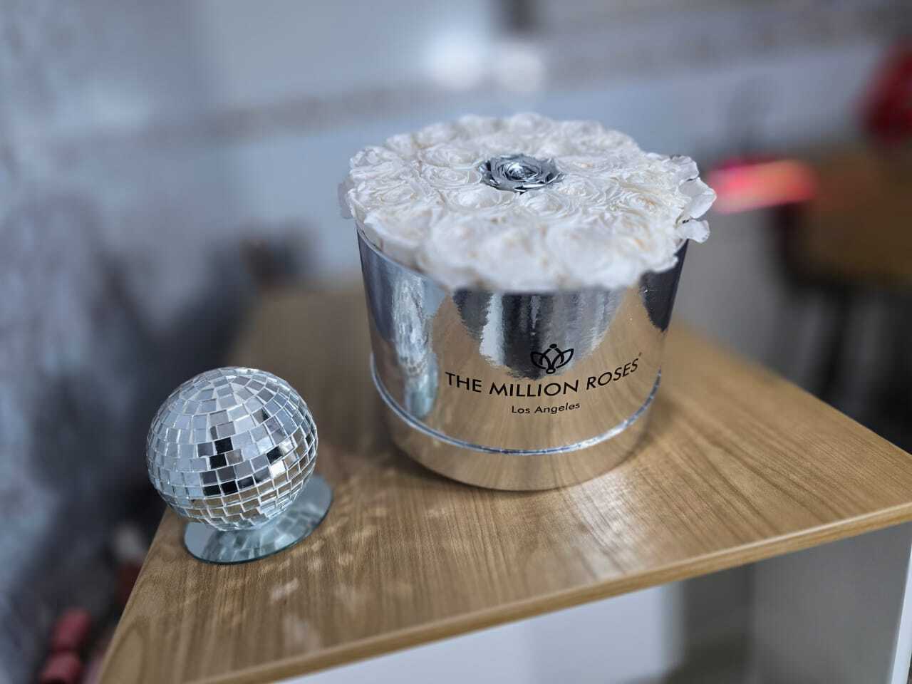 Utøver Zaimoon Bilde 10