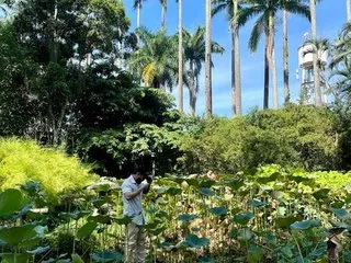 Drake_Malone cam model profile picture