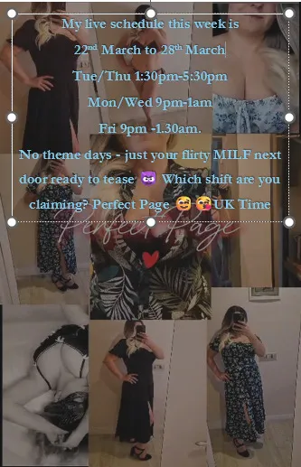 Artist PerfectPage Foto 1