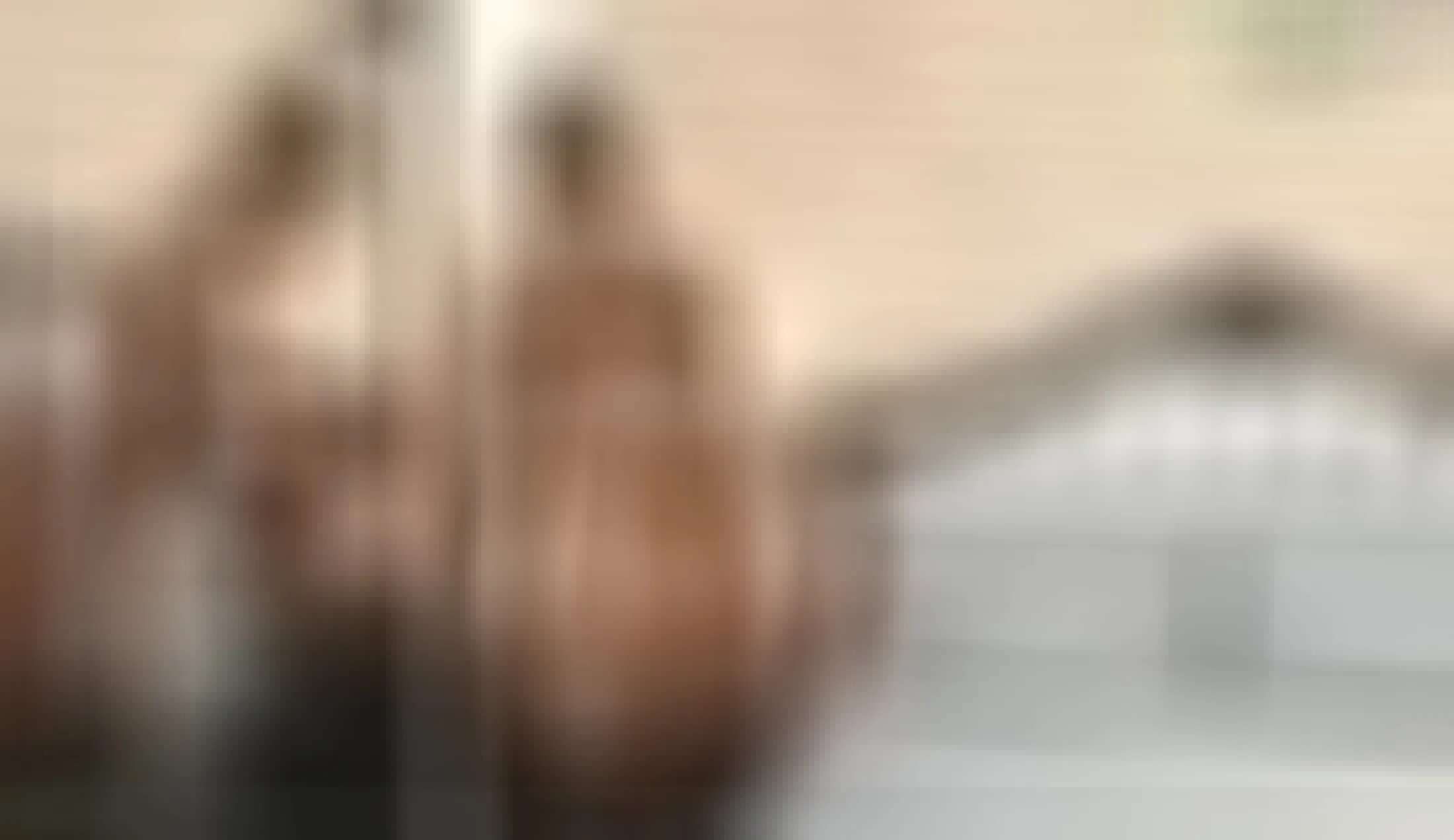 Interprete GabrielaSimonss Video 1