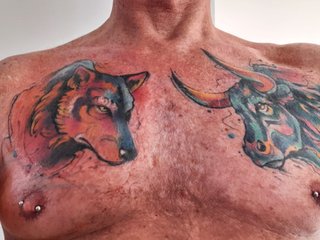 Image de profil du modèle de webcam VixenandTheWolf