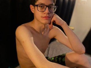 Foto de perfil de modelo de webcam de wolfansky 