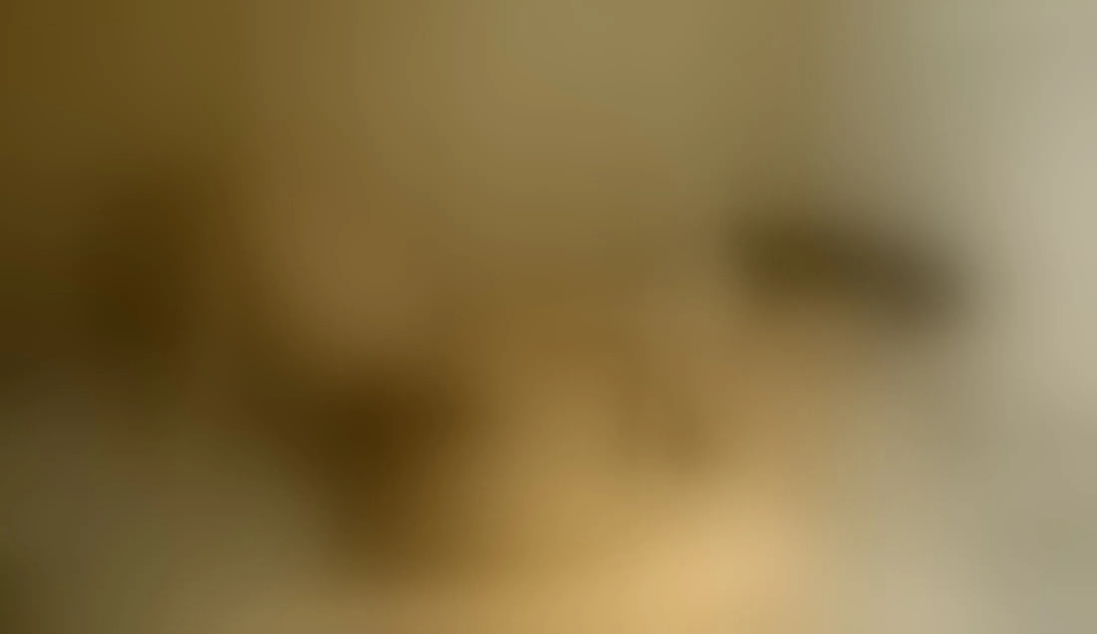 Interprete Kittytwerk Video 1