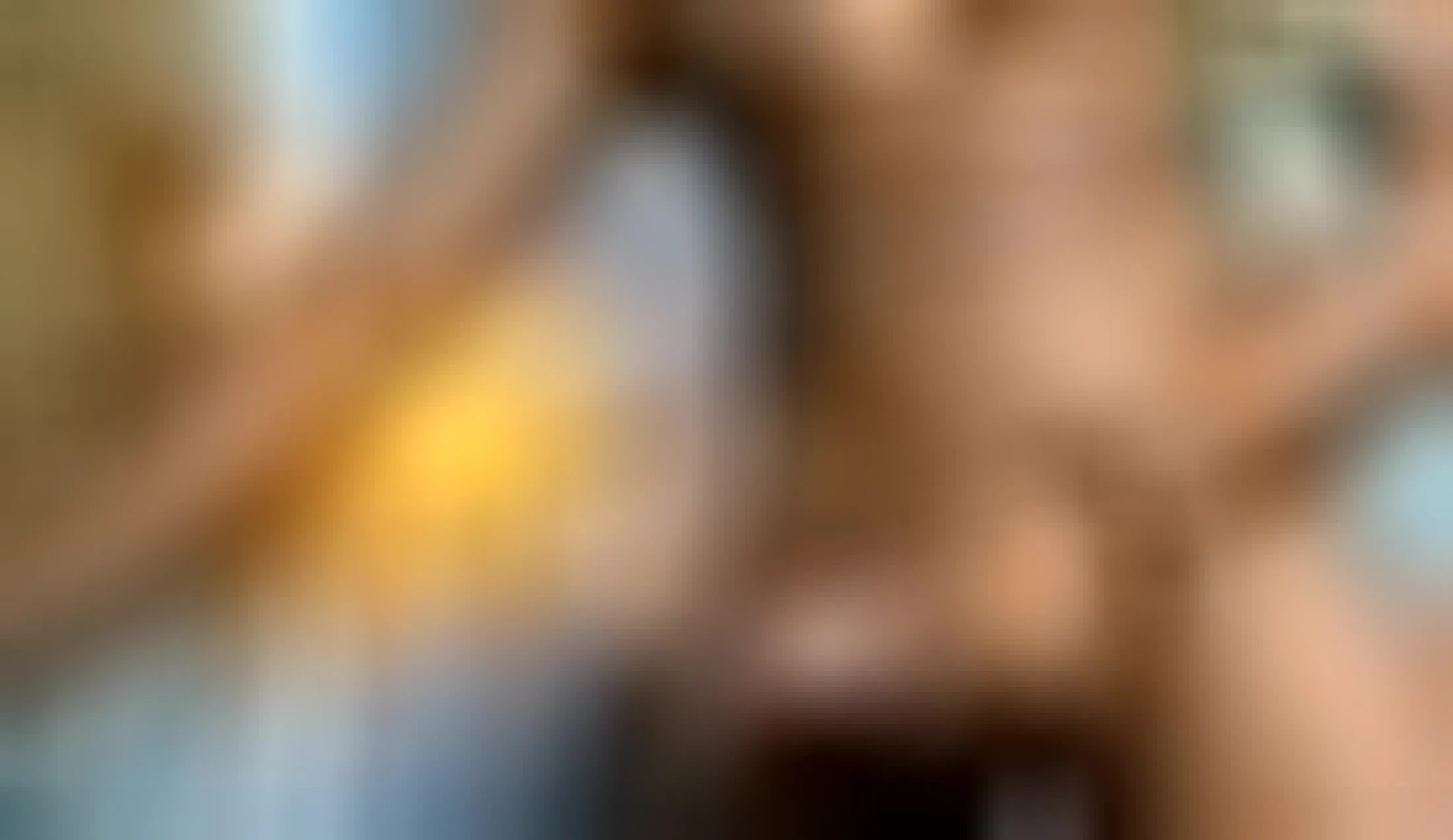 Interprete Stevens_Collins Video 1