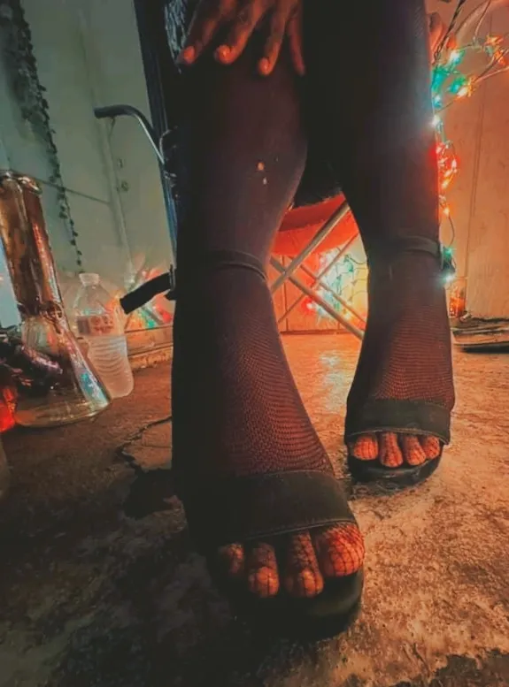 Interprète TerraReign Photo 3