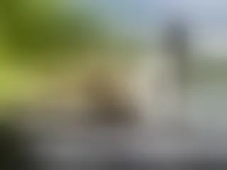 MayaKarterr immagine del profilo del modello di cam