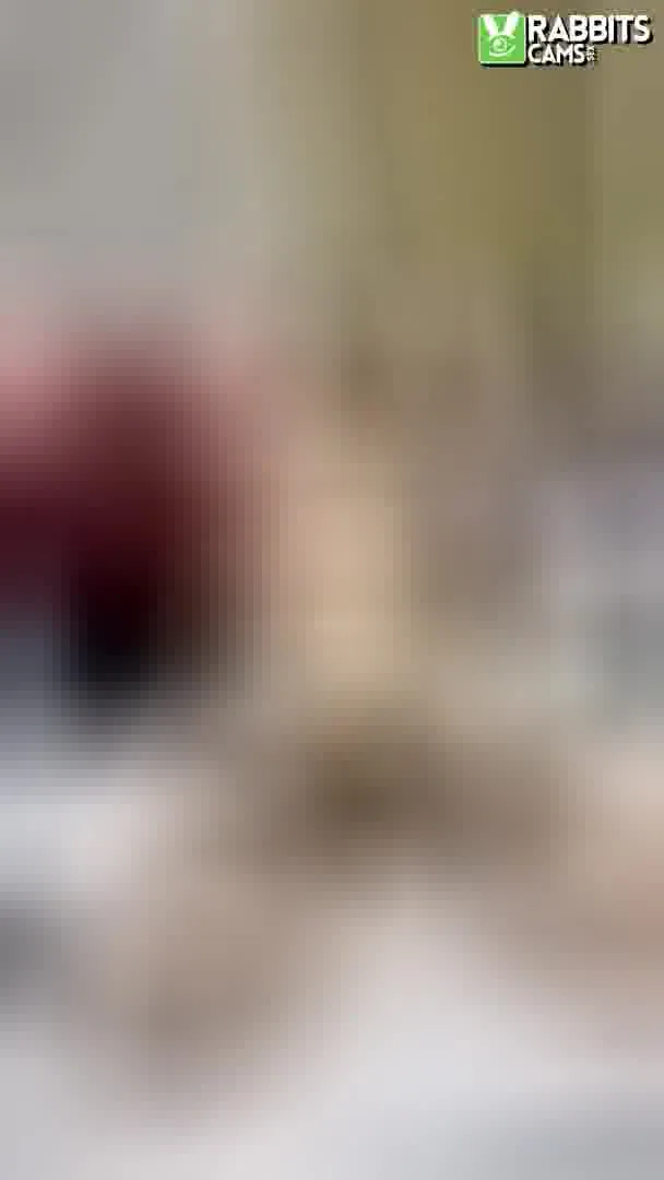 Darsteller AlexaSttorm Video 4