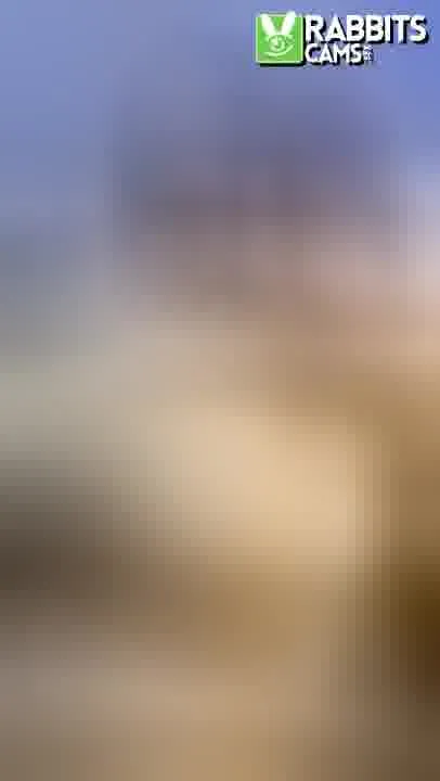 Artiest JaneRouse Video 4