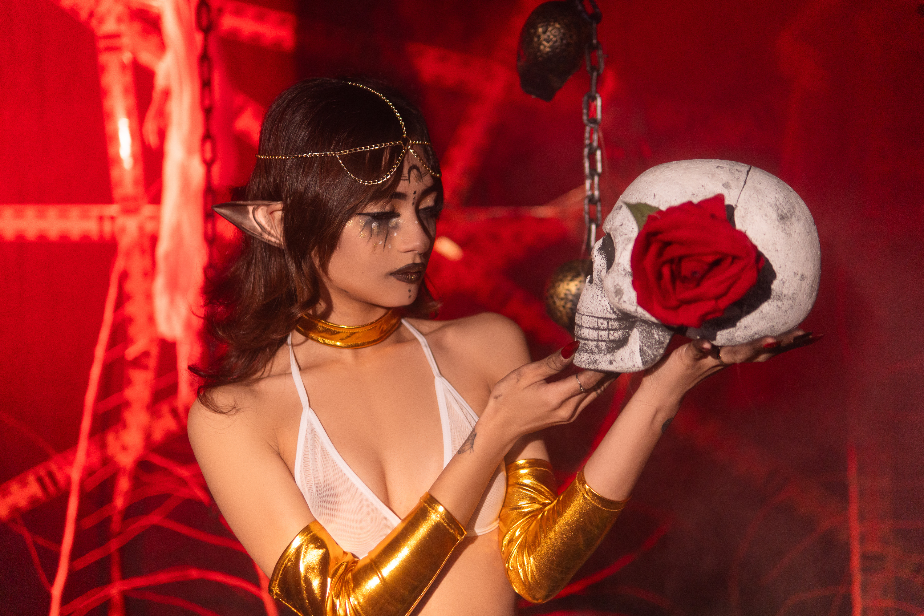 Artiest VenusOlympus Foto 4