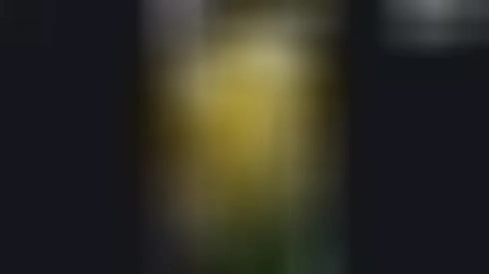 Artist Rani20 Video 1