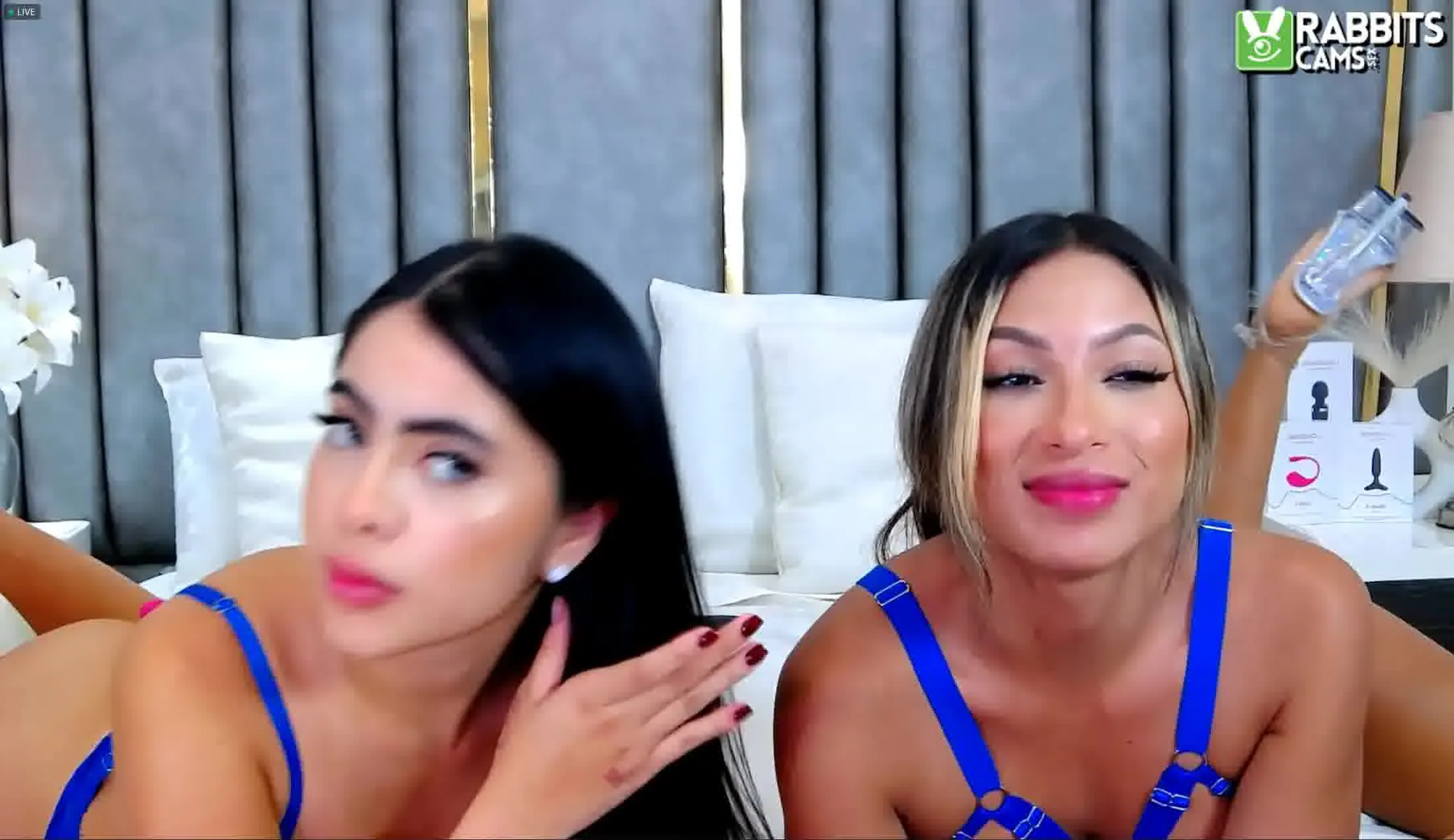 Artiest BellaCartter Video 4