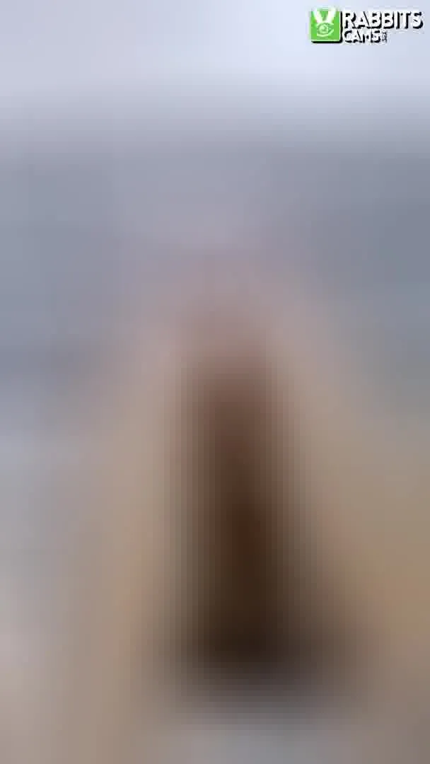 Interprète MelodyGloom Vidéo 4