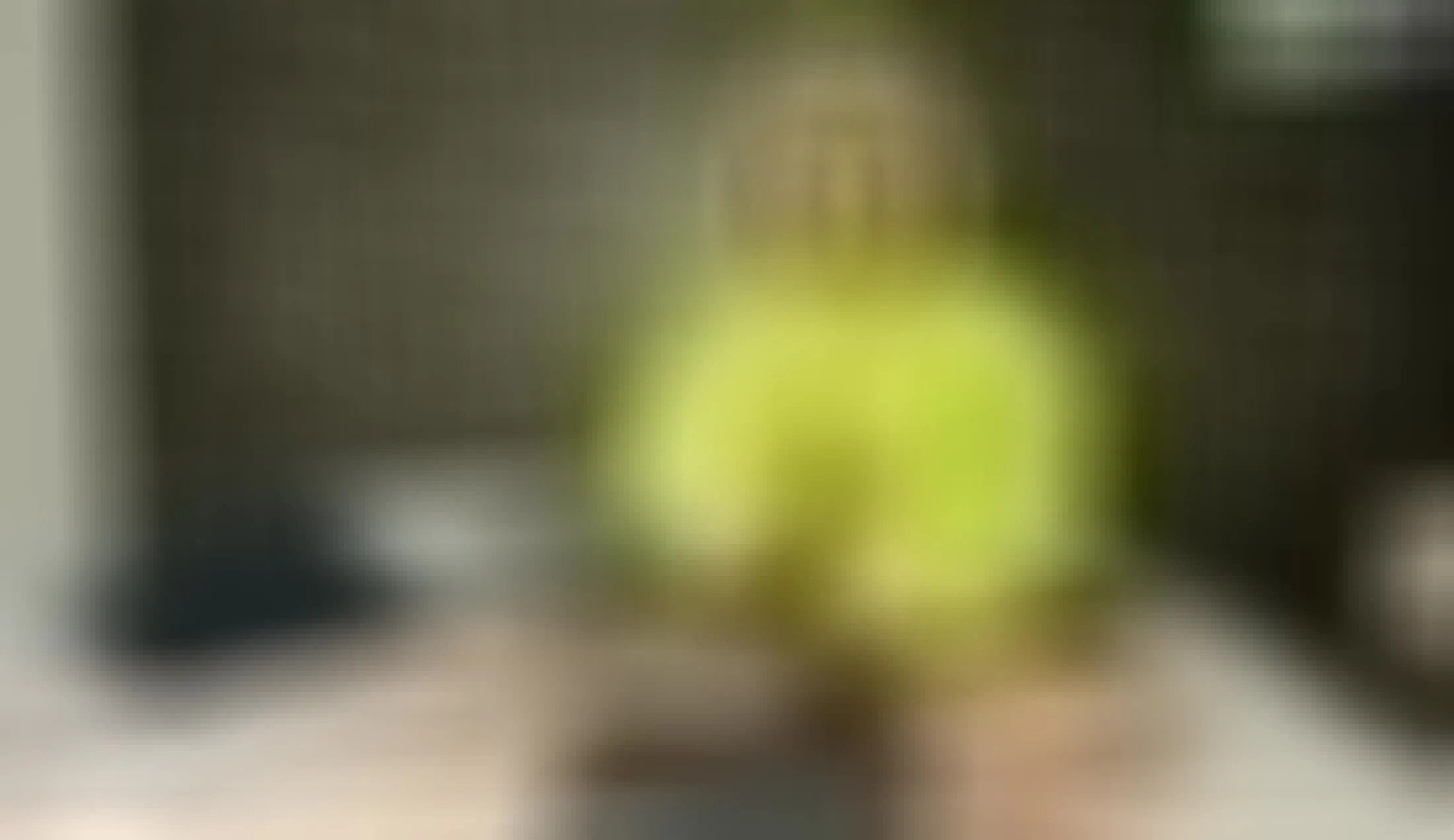Interprete Kore_Hancock Video 1