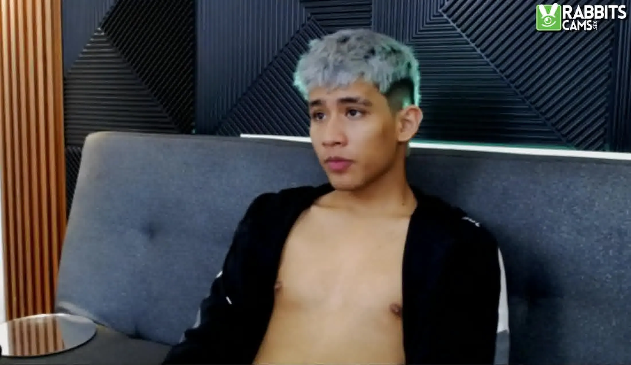 Artist DenisRouge Video 1