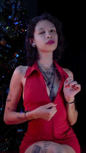 Artiest vambaradamsper Foto 5