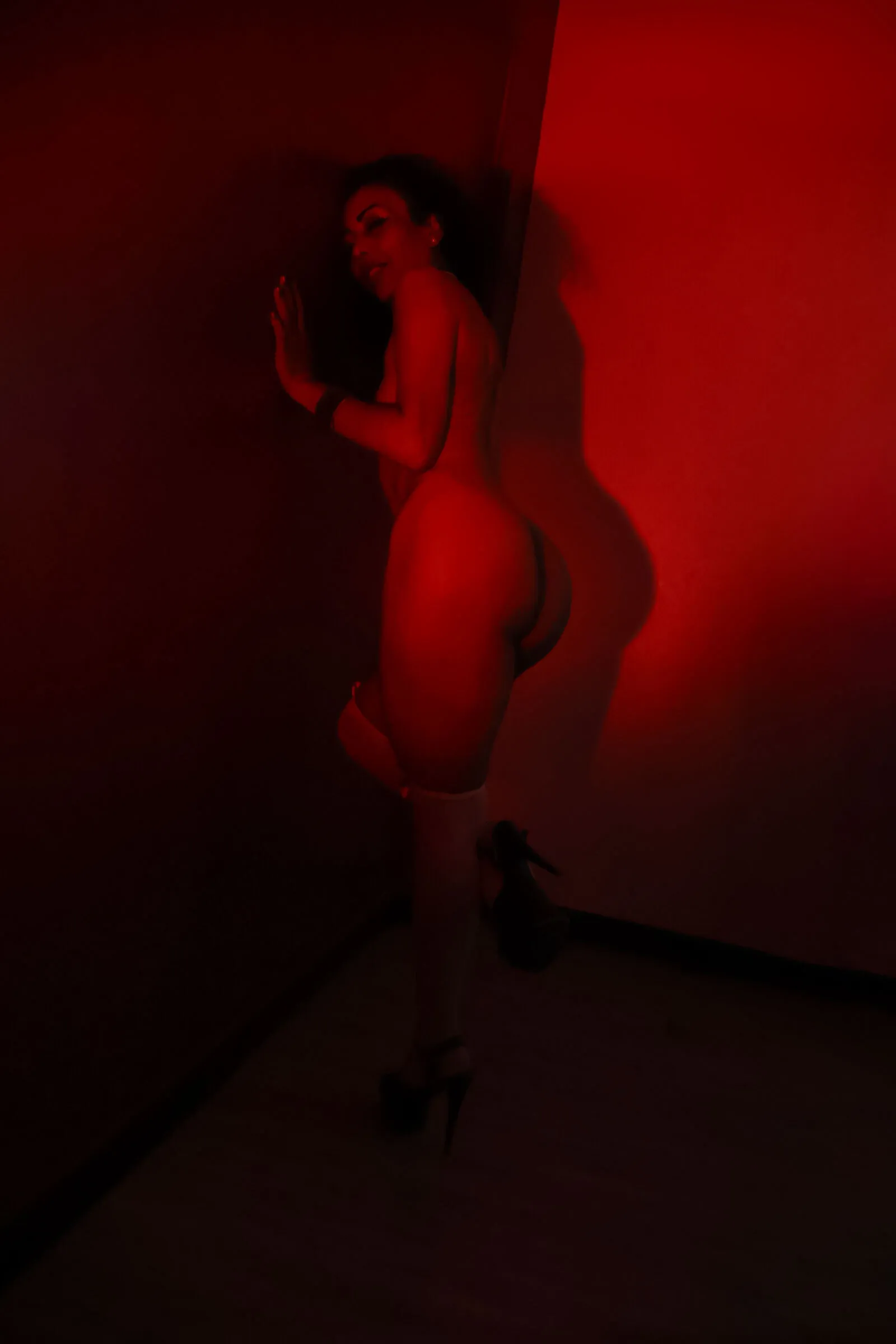 Interprete brendaliive Foto 1