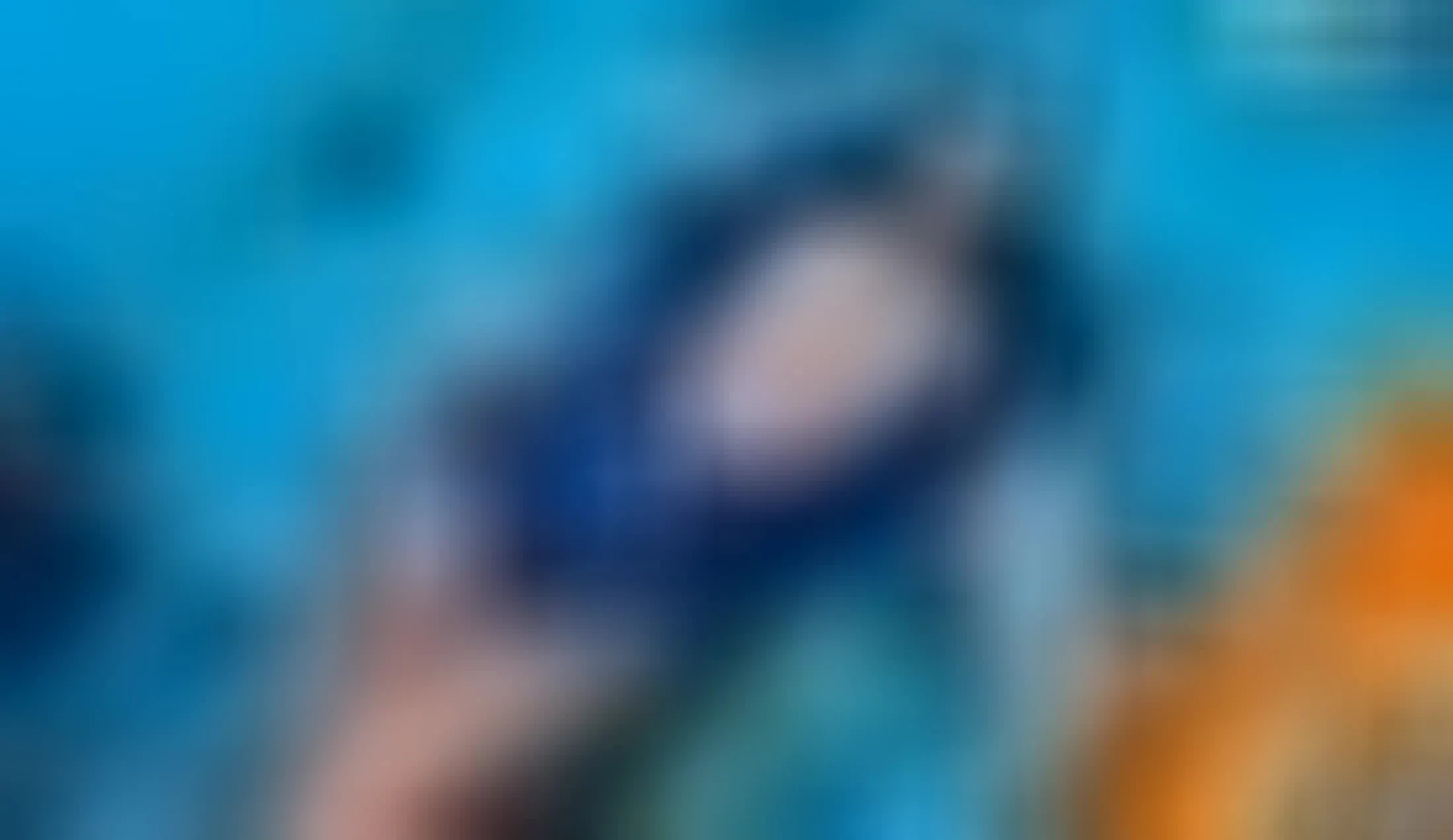 Artiest Queen_Alondra Video 1
