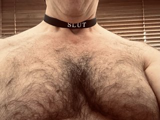 Meatforuse65 immagine del profilo del modello di cam